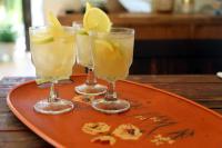 Ποτά στο DREAMCATCHER by DW - ADULTS ONLY