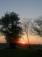 a sunset with two trees in a field at La casa en el campo A 20 minutes de Zoo Beauval &amp; 8 minutes de la flamme olympique à Valençay in Vicq-sur-Nahon