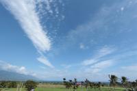 a blue sky with palm trees in a field at Taitung Jia Lulan Tribal in Taitung City