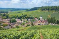 Plan piętra w obiekcie Villa Reims Champagne Lavannes Vineyard