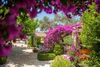 un jardín lleno de flores y plantas púrpuras en Soleil Village & Villas, en Jal