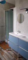a bathroom with a blue sink and a shower at Résidence Auger in Bourges