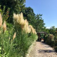 A garden outside Villa Caramino