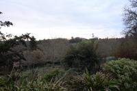 a view of a field with trees and bushes at Gîte 3 pers Jacuzzi extérieur sous bulle, possibilité table d&#39;hôtes le soir in Tréduder