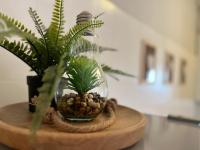 The floor plan of Your Studio Apartment in Sirmione