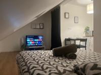 a bedroom with a bed and a television and a table at Cosy Rent Studio 1 Strasbourg -gare - Tv - Wifi in Strasbourg