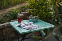 Zahrada ubytování Villa Rosa - Garden