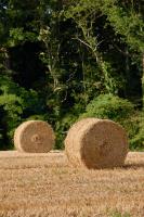 Plán poschodí v ubytovaní Gîte Cerise - Les Gîtes de la Lohuas