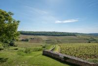 a view of a field with a stone wall and a road at Chez Joseph - Au coeur des vignes de Saint-Romain in Saint-Romain