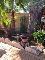 a garden with a bird bath and palm trees at Chalet Mimosas in Gassin