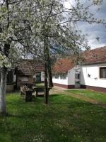 Vonkajšia záhrada v ubytovaní Orljak