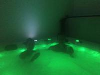 Hostia v ubytovaní l'intant zen naturiste