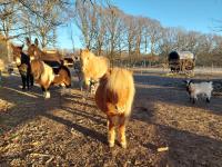Plán poschodí v ubytovaní la cabane du cowboy
