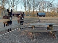 Plán poschodí v ubytovaní la cabane du cowboy