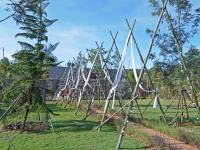 Zahrada ubytování Yellowstone Camps Resort Khao Yai