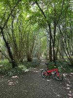 a red bike parked in the middle of a forest at Domaine de la Forêt d&#39;Orient, Logis Hôtel, Restaurant, Spa et Golf in Rouilly-Sacey