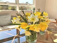 Půdorys ubytování Holiday Home Hanna - 50m from the sea in Funen by Interhome