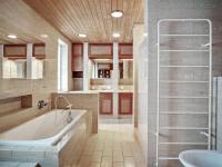 Koupelna v ubytování Holiday Home Ingwelde - 5km from the sea by Interhome