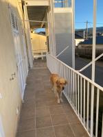 a brown dog standing on the porch of a house at Chez Hélène 3 étoiles, labellisé disabled PMR,pour 4 personnes chiens bienvenus-pet friendly in Bourg-Madame