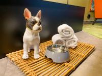 宿泊客と一緒にProfilHotels Nackaに滞在中のペット