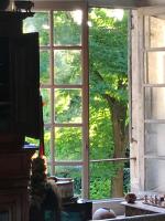 a window with a view of a tree at La Maison Saint Joseph in Crépy-en-Valois