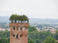 Príroda v okolí dovolenkového domu