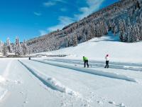 two people cross country skiing in the snow at Apartment Poldi by Interhome in Haus im Ennstal