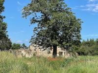 Ogród w obiekcie Gîte Petite Rousserie sur domaine La Rousserie