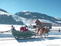 a group of people riding in a horse drawn sleigh at Apartment Appartment Wiesberg by Interhome in Niedernsill