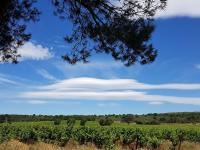a cloud formation in the sky over a vineyard at Apartment Eden Roc 2 by Interhome in Narbonne-Plage
