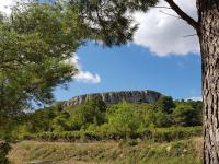 a view of a mountain from a forest at Apartment Eden Roc 2 by Interhome in Narbonne-Plage
