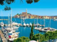 a bunch of boats are docked in a harbor at Holiday Home Milka 1 - ROJ315 by Interhome in Svetvinčenat