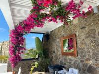 Zahrada ubytování Bianco a Nero Mykonos