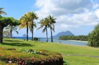 a park with palm trees and a view of the ocean at Studio &quot;Prestige&quot; Sainte Luce in Sainte-Luce