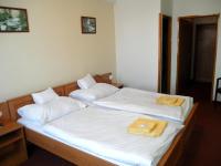 Postel nebo postele na pokoji v ubytování Hotel Vysocina