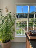 Una cocina con una planta en maceta junto a una ventana. en Ekenäs Gård på Österlen, en Kivik