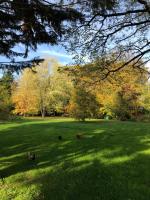 Plan piętra w obiekcie Le Jardin de Fresnes