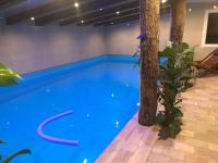 a blue pool with a tree in a room at B&amp;B Au bois dormant chambres d hotes in Tillé