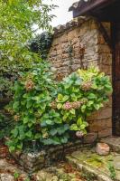 Vonkajšia záhrada v ubytovaní La Maison d’Élise - au cœur du village