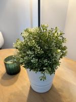 Plán poschodí v ubytovaní Appartement - cœur de Ramonville