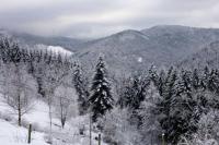 Appartement dans vielle ferme au coeur des Vosges v zime