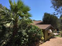 Ogród w obiekcie Villa con piscina tra Porto vecchio e Bonifacio