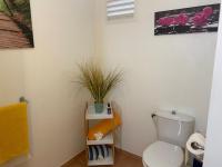 a bathroom with a toilet and a plant on a shelf at Pierre et Vacances Vue Mer in Sainte-Luce