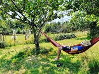 a man laying in a hammock under a tree at Loire Valley Llama Farm Stay in Lavernat