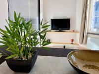 a living room with a potted plant and a tv at L&#39;appartement du Centre in Chalons en Champagne