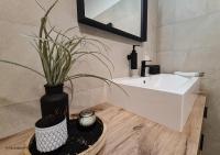 a bathroom with a white sink and a potted plant at St. Antoni Suite 2 in Eisenstadt