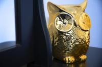 a gold cat vase with lemon slices on it at Résidence Pompidou Libourne in Libourne