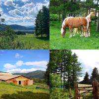 Zvieratá v ubytovaní bed & breakfast alebo blízkom okolí