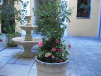 A garden outside Hostal Huespedes Toledo