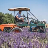 Goście zatrzymujący się w obiekcie studio à la campagne